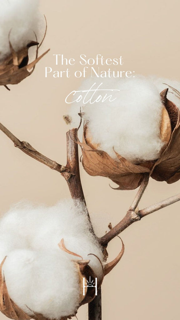 The Softest Part of Nature: Cotton - The Handloom