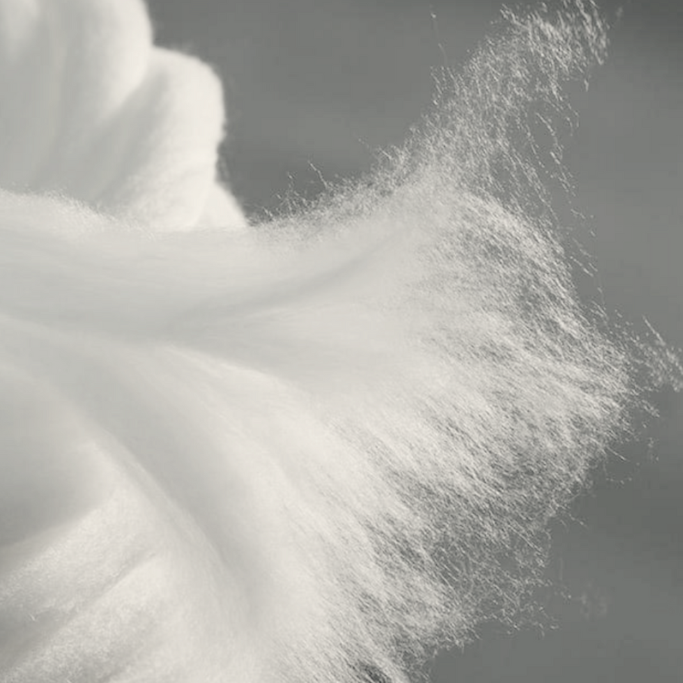 Our Fabrics | The Handloom